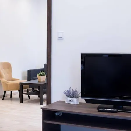 Very Modern And Cozy Ac